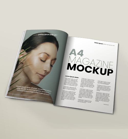 revista revista